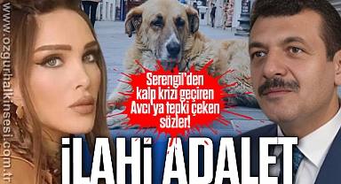 “İlahi adalet”