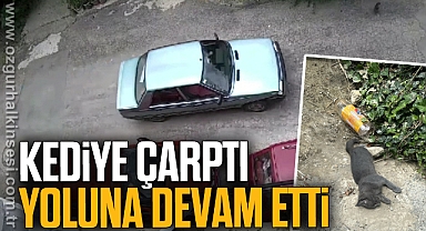Kediye çarptı yoluna devam etti