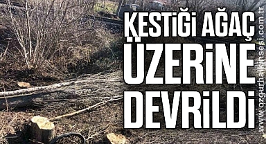 Kestiği ağaç üzerine devrildi