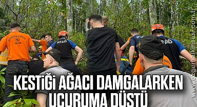 Kestiği ağacı damgalarken uçuruma düştü