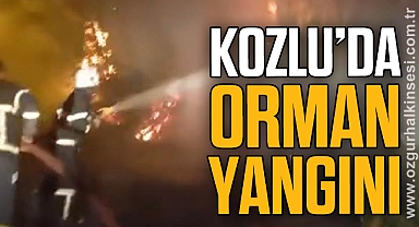 KOZLU’DA ORMAN YANGINI