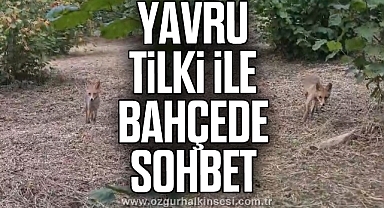 Yavru tilki ile bahçede sohbet