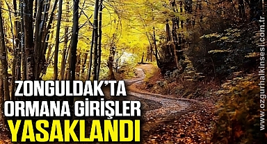 ZONGULDAK’TA ORMANA GİRİŞLER YASAKLANDI