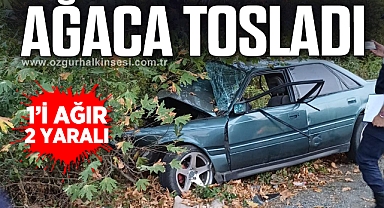 AĞACA TOSLAYAN ARAÇ HURDAYA DÖNDÜ