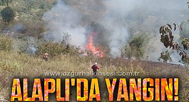 Alaplı'da yangın!