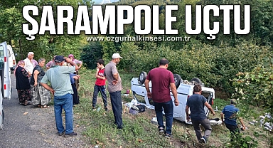 ALAPLI GÜMELİ YOLU ÜZERİNDE KAZA