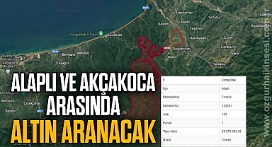 ALAPLI VE AKÇAKOCA ARASINDA ALTIN ARANACAK