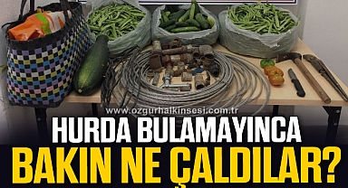 Bahçeden çaldıkları sebzelerle ormanda yakalandılar