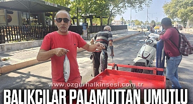 Balıkçılar palamut balığından umutlu
