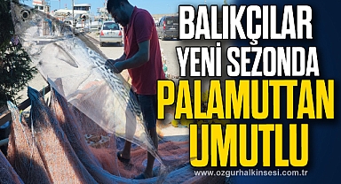 Balıkçılar yeni sezonda palamuttan umutlu
