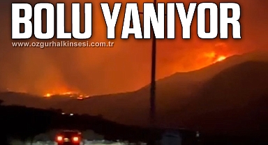 Bolu’da orman yangını 12 saattir devam ediyor