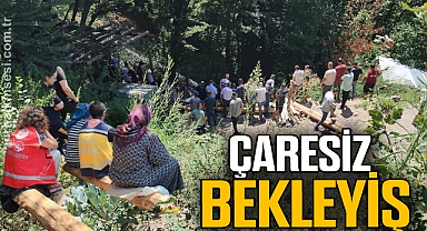 ÇARESİZ BEKLEYİŞ