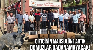 ÇİFTÇİNİN MAHSULÜNE ARTIK DOMUZLAR DADANAMAYACAK!