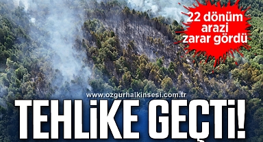 Devrek'te 22 dönüm arazi zarar gördü