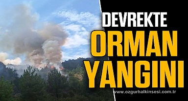 Devrekte Orman Yangını