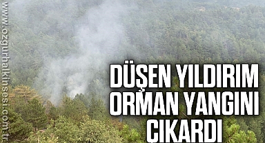 Düşen yıldırım orman yangını çıkardı