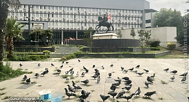 GÜNÜN FOTOĞRAFI