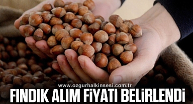 İŞTE TMO'NUN FINDIK FİYATI