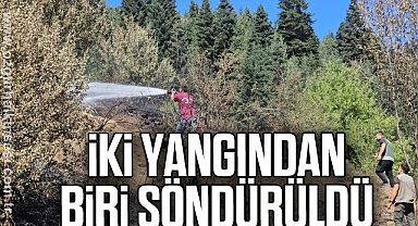 Karabük'teki iki yangından biri söndürüldü