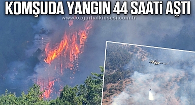 Karabük'teki orman yangını 44 saati aştı