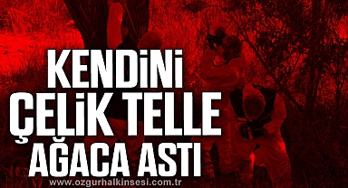 Kendini çelik telle ağaca astı