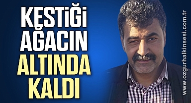 Kestiği ağacın altında kalan işçi öldü