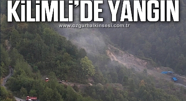 KİLİMLİ'DE ORMAN YANGINI