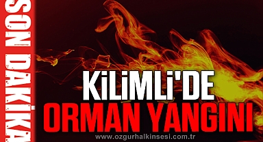 KİLİMLİ'DE ORMAN YANGINI