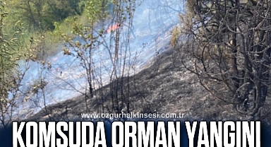 Komşuda orman yangını