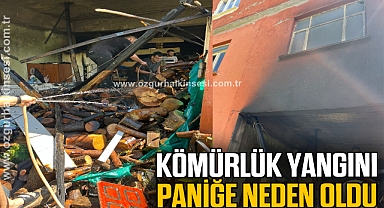 Kömürlük yangını paniğe neden oldu
