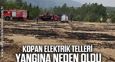 Kopan elektrik telleri yangına neden oldu