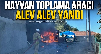 KOZLU'DA KORKUTAN YANGIN