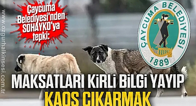 “MAKSATLARI KİRLİ BİLGİ YAYIP KAOS ÇIKARMAK”