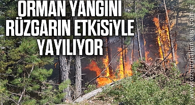 Orman yangını rüzgarın etkisiyle yayılıyor