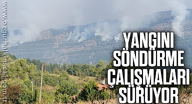 Orman yangınını söndürme çalışmaları sürüyor