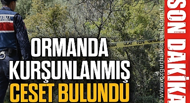 ORMANDA KURŞUNLANMIŞ CESET BULUNDU