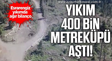 Ormanlardaki esrarengiz yıkımın ağır bilançosu belli olmaya başladı