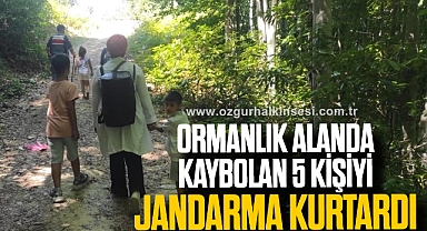 Ormanlık alanda kaybolan 5 kişiyi jandarma kurtardı