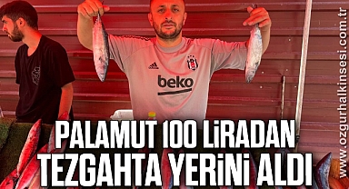 Palamut 100 liradan tezgahta yerini aldı