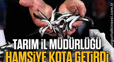 TARIM İL MÜDÜRLÜĞÜ HAMSİYE KOTA GETİRDİ
