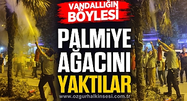 VANDALLIĞIN BÖYLESİ!