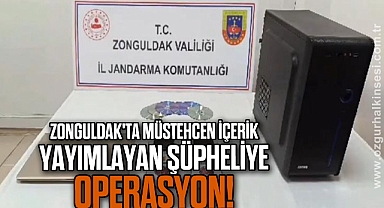 Zonguldak'ta siber suçlarla mücadelede 1 şüpheli yakalandı