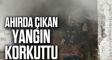 Ahırda çıkan yangın korkuttu