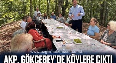 AKP, GÖKÇEBEY’DE KÖYLERE ÇIKTI