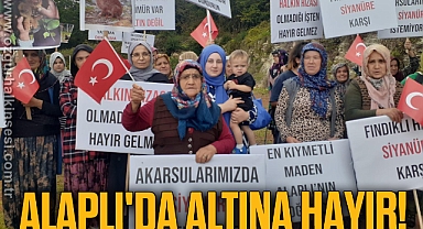 Alaplı'da Altına Hayır!