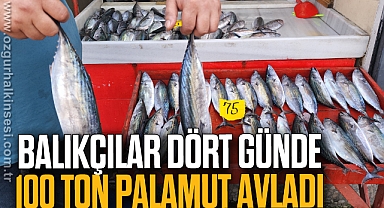 Balıkçılar dört günde 100 ton palamut avladı