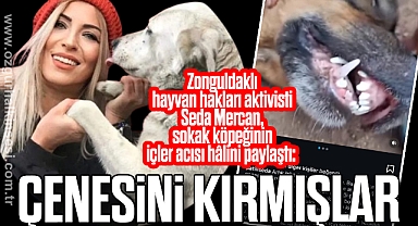 “ÇENESİNİ KIRMIŞLAR