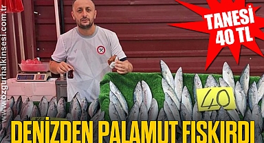 DENİZDEN PALAMUT FIŞKIRDI