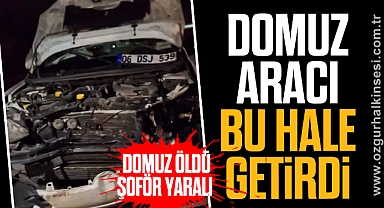 DOMUZ ARACI BU HALE GETİRDİ