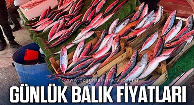 GÜNLÜK BALIK FİYATLARI